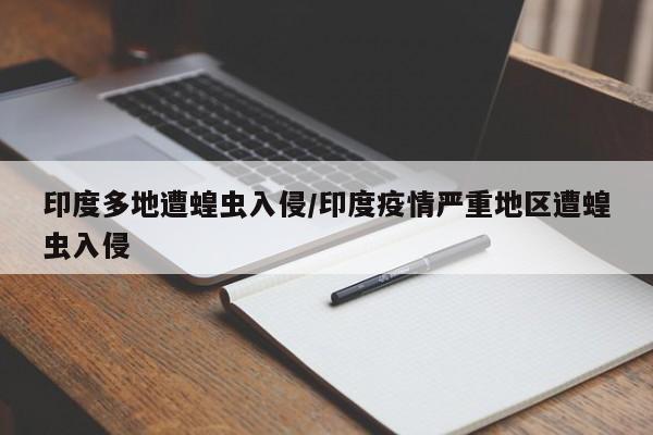 印度多地遭蝗虫入侵/印度疫情严重地区遭蝗虫入侵